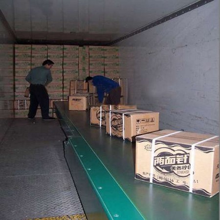 Truck or Container Conveyor