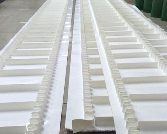Conveying belt