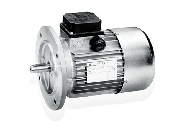 Electric Motors